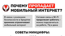 В Удмуртии вводится система временных ограничений мобильного интернета