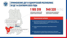 ЦИК РФ согласовал дистанционное голосование на выборах в гордуму Ижевска и ГС УР