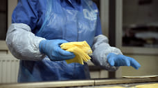 Производство сыров и творога в Удмуртии снизилось на 5,2% в первом полугодии