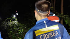В Удмуртии нашли потерявшихся в лесу двух женщин и ребенка
