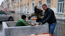 Вазоны для кустарников начали устанавливать на улице Ленина в Ижевске