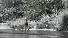 Снег с дождем ожидается в Удмуртии в первые дни ноября