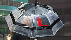 Дождливая и ветреная погода с потеплением ожидается в Удмуртии на этой неделе