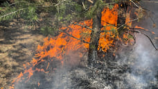 Количество лесных пожаров в Удмуртии уменьшилось почти в два раза