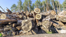 Из Удмуртии вывезли 22,9 тысячи кубометров лесопродукции в Китай с начала года