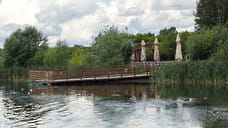 Минприроды объяснило причину вырубки деревьев у Военногородского пруда в Можге