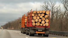 Из Удмуртии экспортировано 348 кубометров лесопродукции в Иран