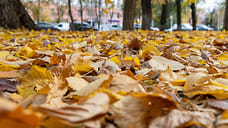 Вчера было самое теплое 25 ноября за всю историю метеонаблюдений в Ижевске