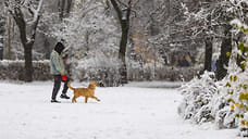 Плюсовая температура ожидается в первые дни декабря