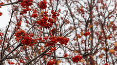 30 ноября зафиксирован новый температурный рекорд в Ижевске