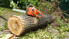 В Удмуртии конфискованы 60 бензопил за незаконную рубку леса