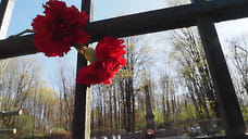 Посыпали голову пеплом