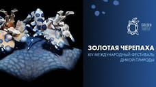 В Москве прошел фестиваль дикой природы при поддержке питьевой воды  Архыз Vita