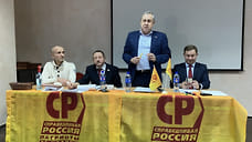 Депутат Госдумы возглавил ячейку