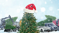 На чем ехать за елкой: все авто и техника с авансом от 0% на срок до 60 месяцев в «Балтийском лизинге»