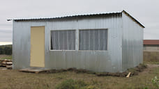 Убийство за отказ «кукарекать», беседка как будка и освобождение котов