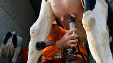 Цель на миллион