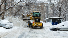 Снега палата