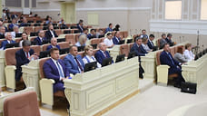 Сеть теряет парламентариев по одному