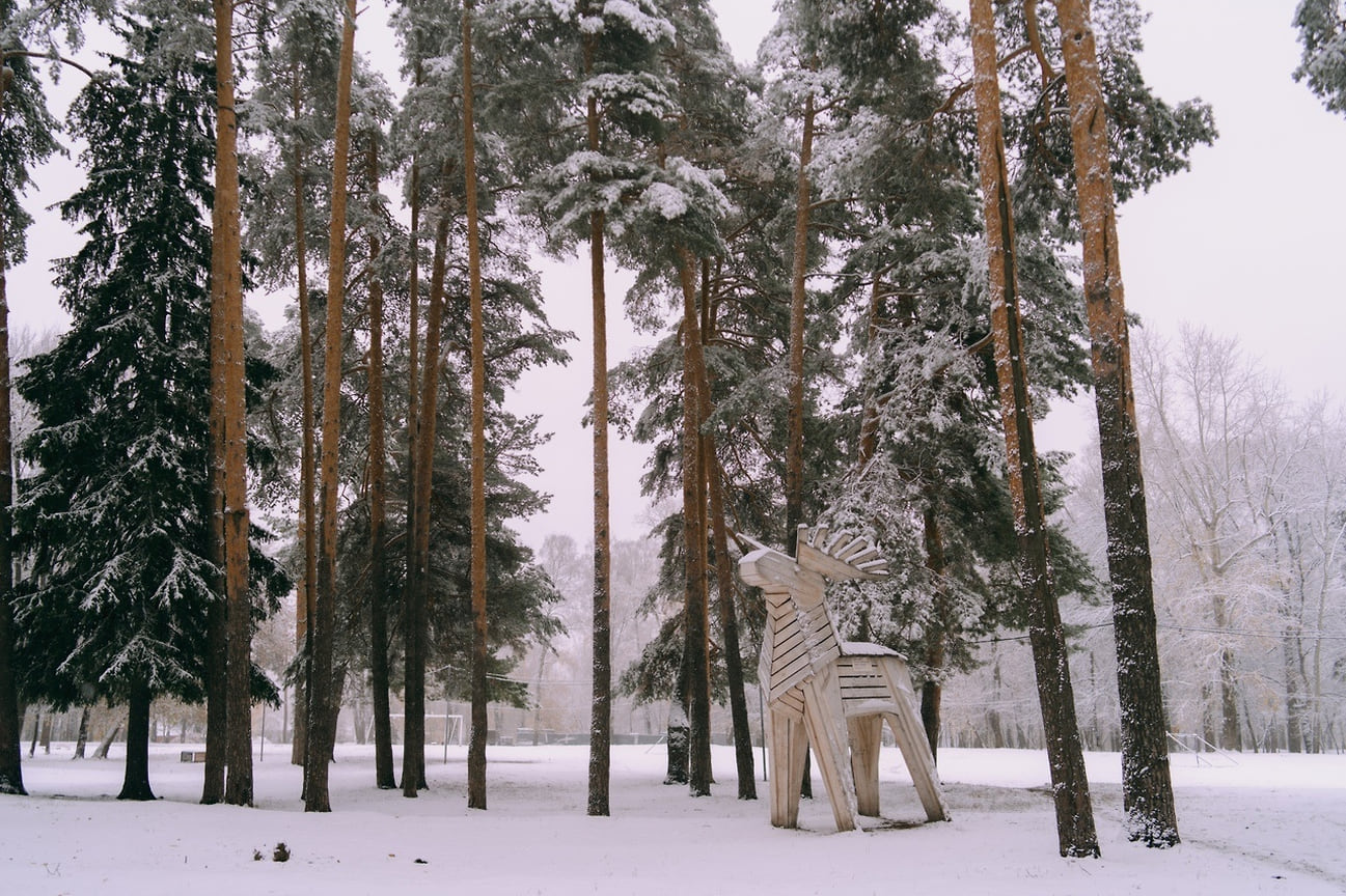Первый снег в Ижевске в этом году