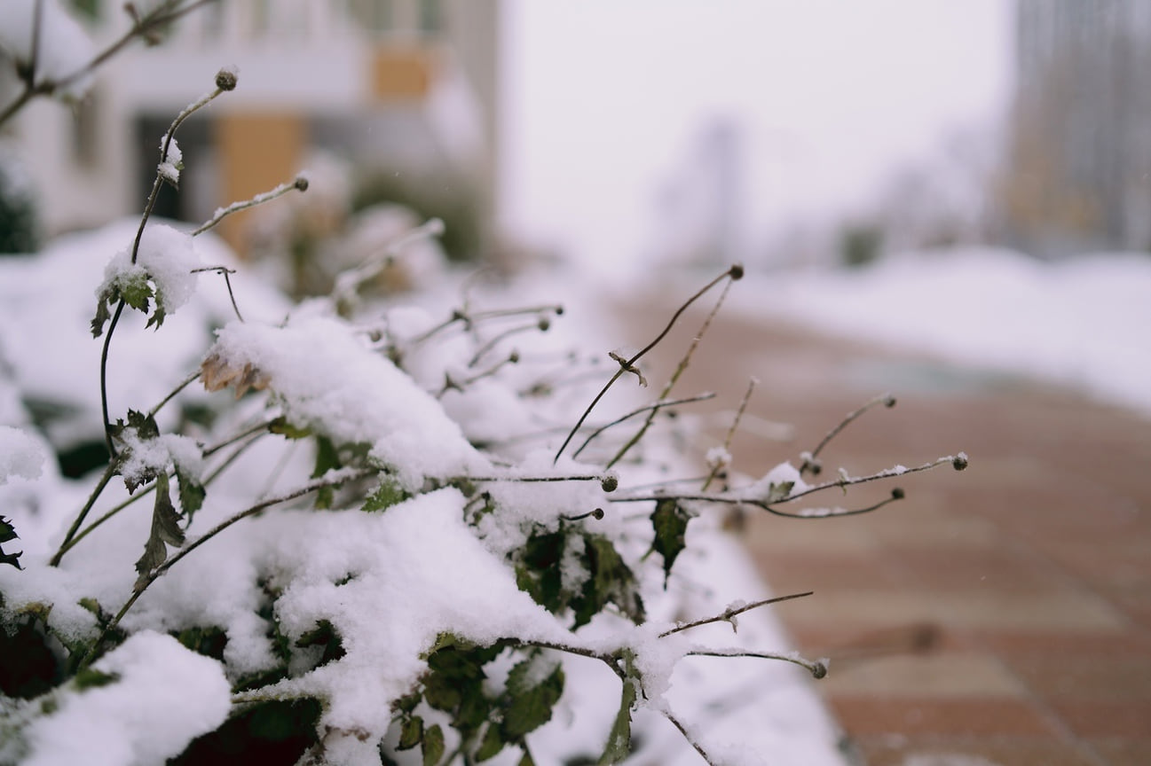 Первый снег в Ижевске в этом году