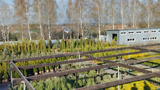 Как подобрать растения для оформления сада и загородного участка