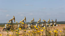 Самое северное месторождение «Удмуртнефти» отметило 15-летие