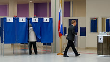 Избирателей привели ДЭГом