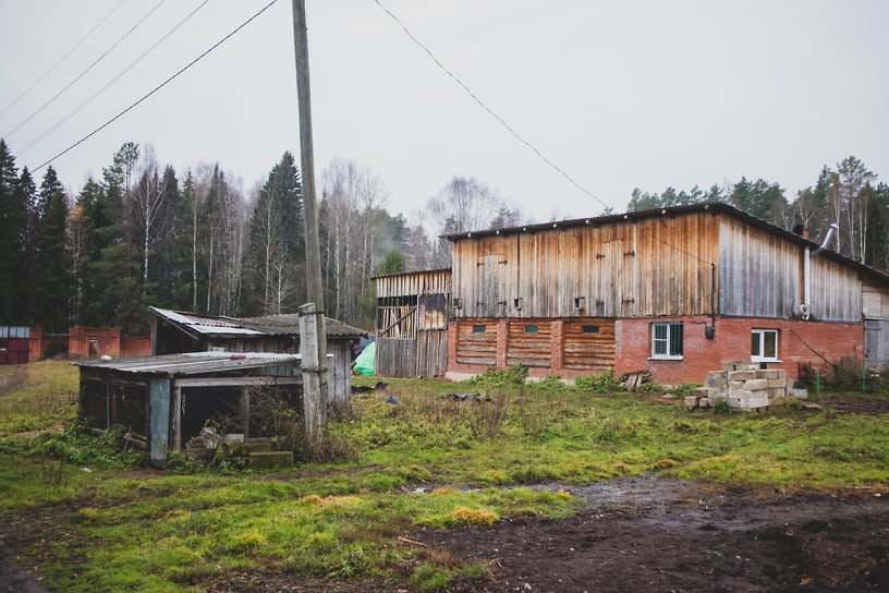 Задний двор с постройками