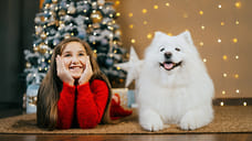 В Удмуртии стартовала благотворительная акция «Елка для каждого — 2025»