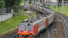 С РЖД взыскали 80 тысяч рублей за гибель лося в Татарстане
