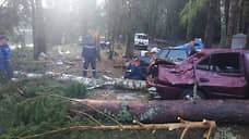 Семьи погибших во время шторма на озере Яльчик татарстанцев начали получать выплаты