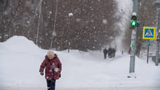Нынешний снегопад в Казани оказался самым мощным за последние пять лет