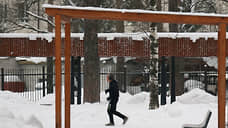 Из парков Казани за пять дней вывезли 435 тонн снега