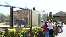 В 2023 году казанский зоопарк пополнили свыше 180 животных и птиц