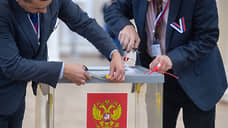 В Казани явка избирателей на выборах президента составила 72,7%