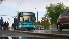 В трамваях и троллейбусах Казани за неделю поймали 201 безбилетника