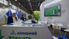 Строительство завода «Аммоний-2» начнут в первом квартале 2025 года