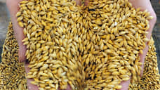 Объем Татарстанского зерна в интервенционном фонде вырос до 57,1 тыс. тонн