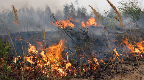 В Татарстане, Чувашии и Марий Эл отмечают высокий риск возникновения лесных пожаров