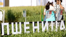 В Татарстане увеличат финансирование АПК до 15,1 млрд рублей в 2025 году