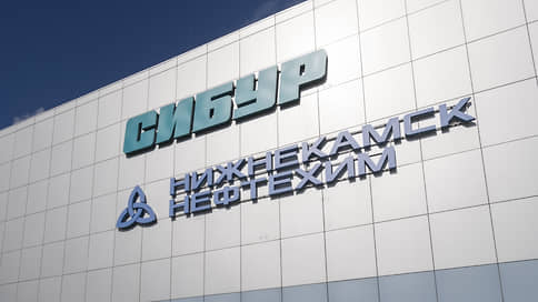Выручка предприятий СИБУРа в Татарстане выросла до 103,2 млрд рублей