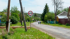 В татарстанском селе на 60 дней ввели карантин из-за выявленного очага бешенства