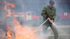 В Татарстане с 29 мая по 2 июня объявлен высокий уровень пожароопасности в лесах