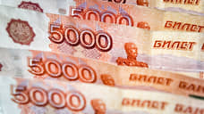 В Чувашии за неделю объявили 431 госзакупку на 2,3 млрд рублей