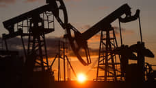 К 2050 году в России хотят увеличить добычу нефти на более чем 4,5% в год