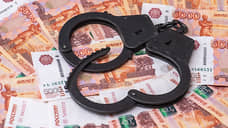 Главу фирмы в Татарстане подозревают в уклонении от налогов на 30 млн рублей