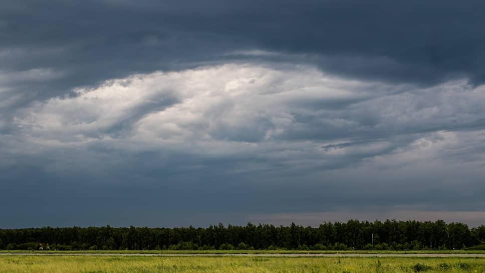 Дожди усложняют процесс уборочной кампании в Татарстане