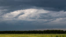 Дожди усложняют процесс уборочной кампании в Татарстане
