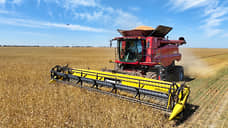 Из Татарстана в Вьетнам отправили 3,95 тысячи тонн пшеницы